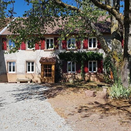 Bed and Breakfast Le Jardin Des Gouttes Rougegoutte Zewnętrze zdjęcie