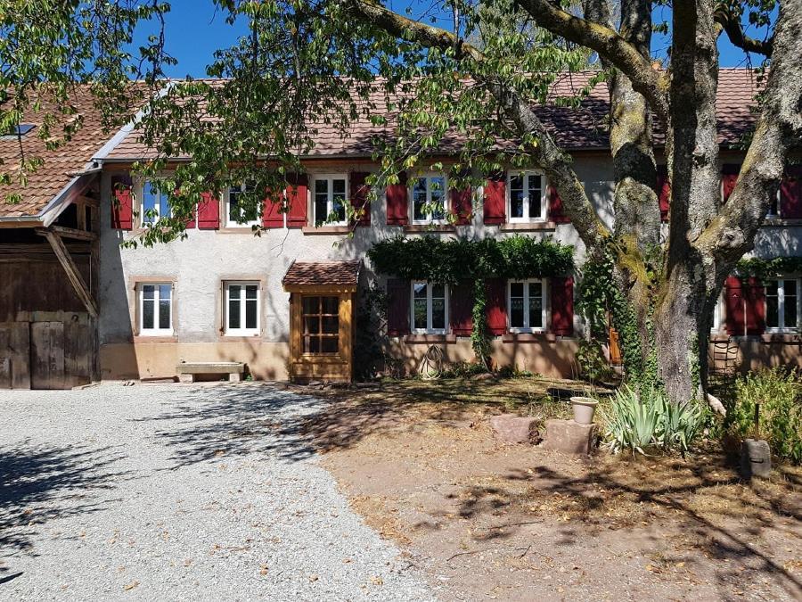 Bed and Breakfast Le Jardin Des Gouttes Rougegoutte Zewnętrze zdjęcie